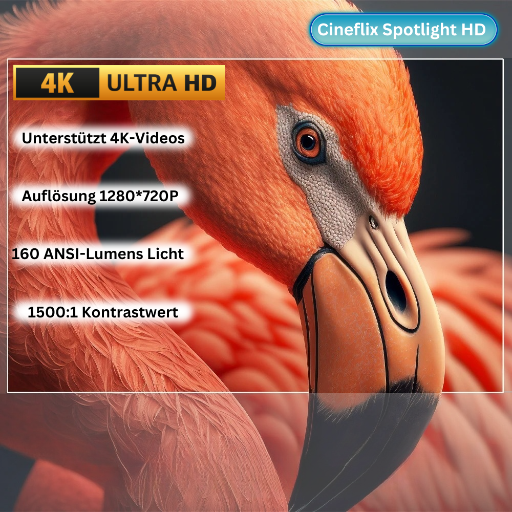 Cineflix Spotlight HD